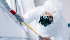 Best Real Estate Pest Inspections  in Melody Hill, IN